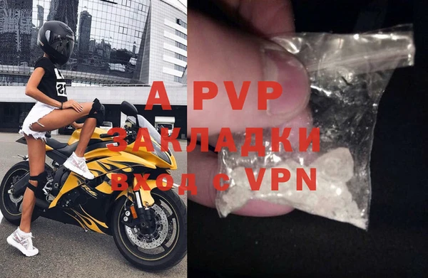 стаф Алексин