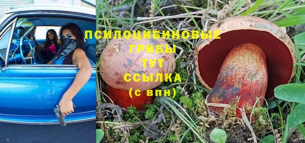 mdpv Алзамай